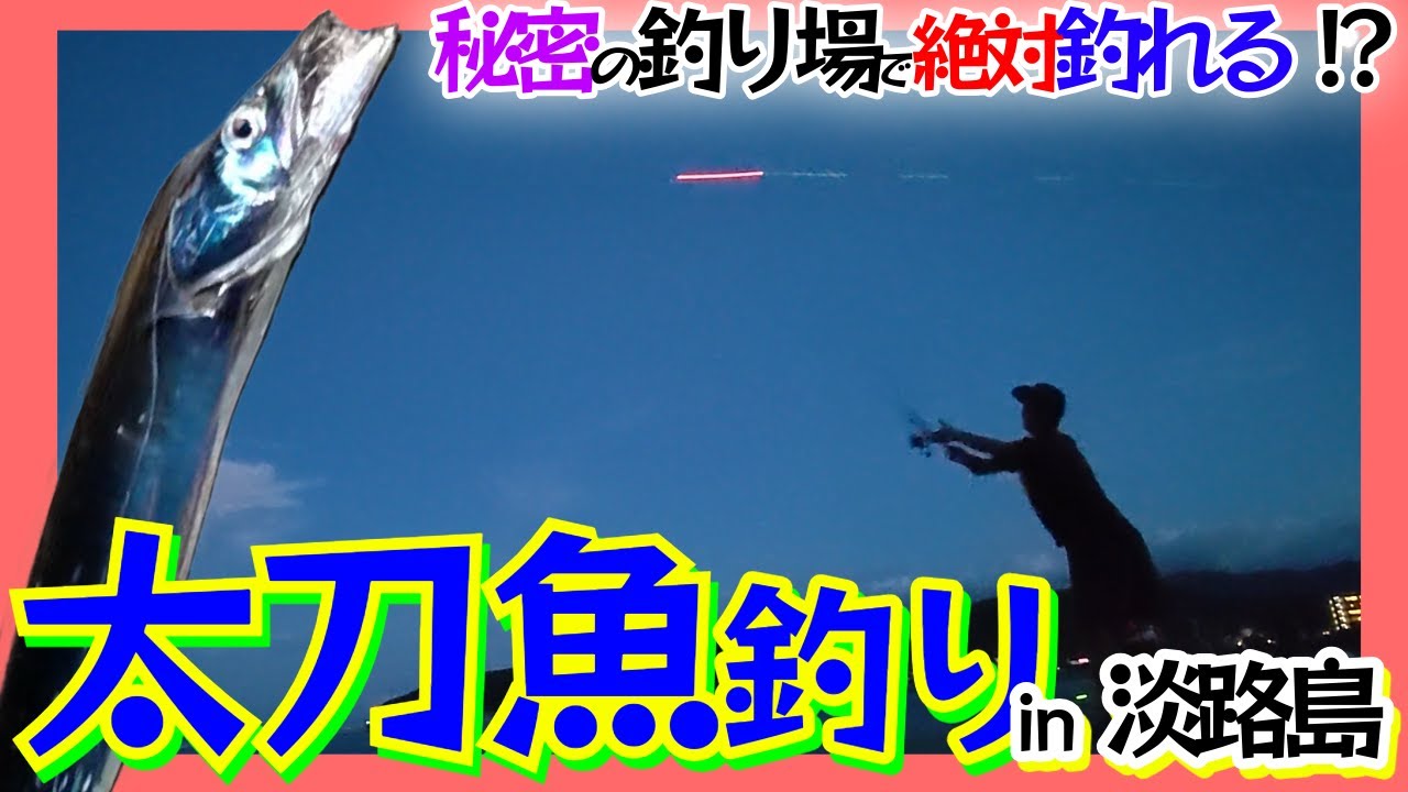 【絶対釣れるって本当！？】淡路島某漁港にて太刀魚釣り！！