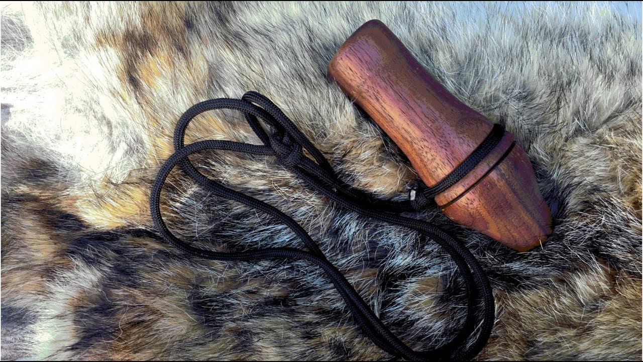 Making a Predator Call and using it on Coyotes