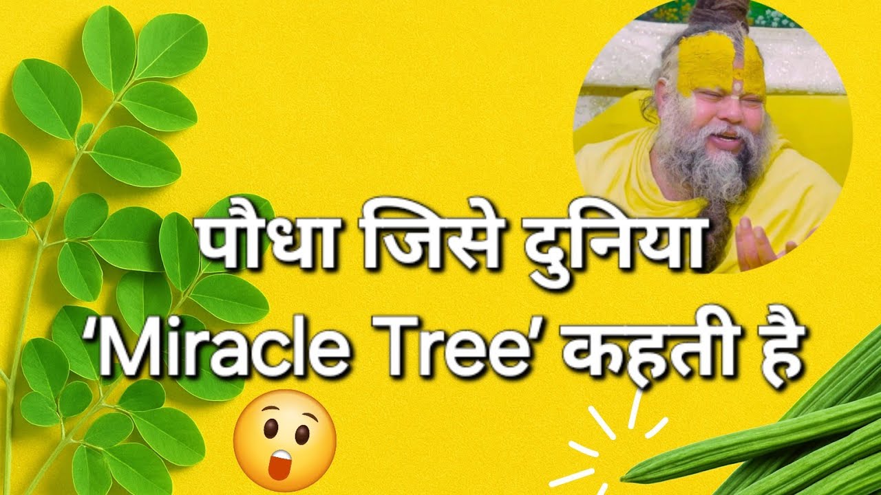 Moringa: 1 पौधा = 92 न्यूट्रिएंट्स! असली सुपरफूड 🌿💥