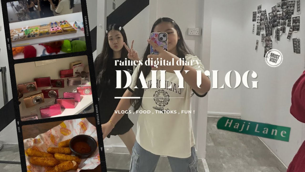 ׂ╰┈➤ daily vlog ! ୧ ‧₊˚ 💿 ( tried mango ice cream and went to haji lane ) ⋆·˚ ༘ *