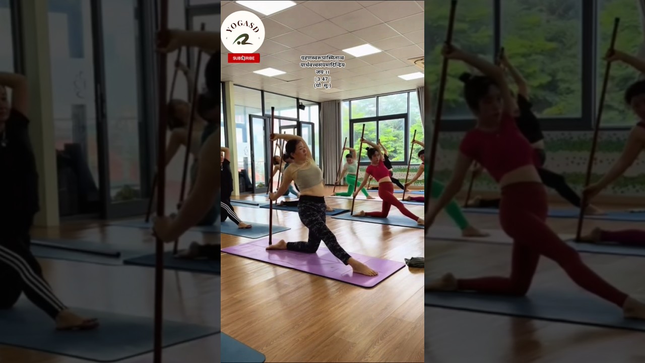 Flowing in Unison: A Beautiful Stick Yoga Practice | Dynamic  stick Yoga Sequence for  everyone |