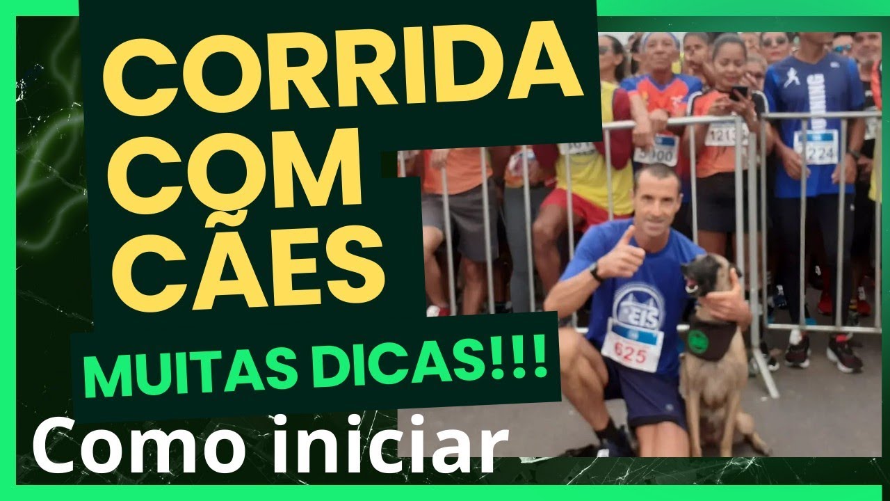 Como correr com cães na rua.