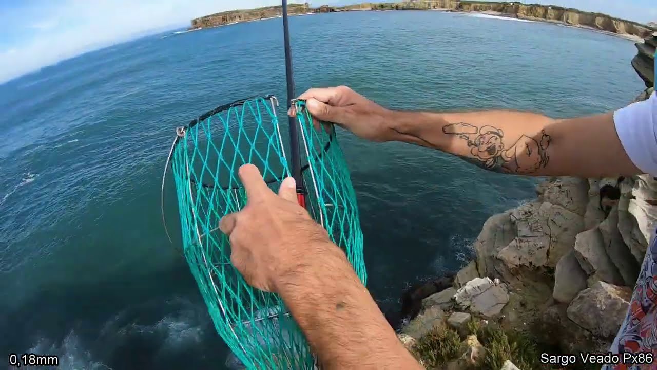 Sargos, Mirage a vara que me surpreendeu 2020💪🎣🇵🇹