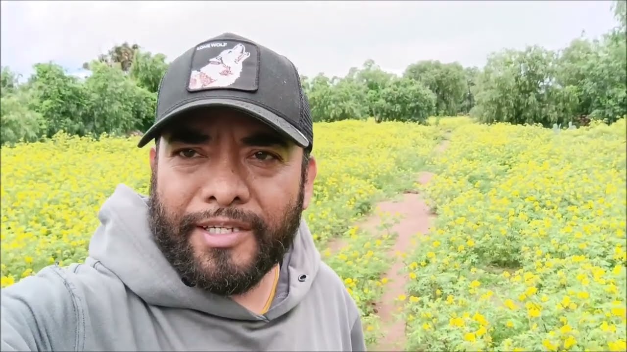 EL CAMPO ZACATECANO NOS REGALA HERMOSOS LUGARES Y PAISAJES!!