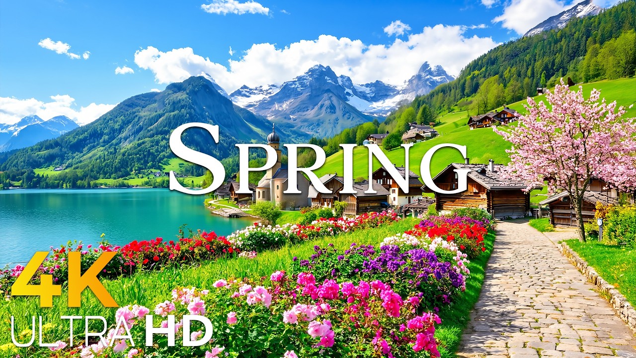 Switzerland Awakens 🌸 Preparing for Spring in the Swiss Alps 4K