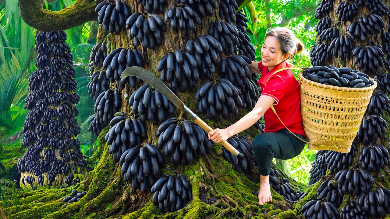 Harvesting Rare Wild Bananas | Curious Market Crowd Buys Everything Within Minutes