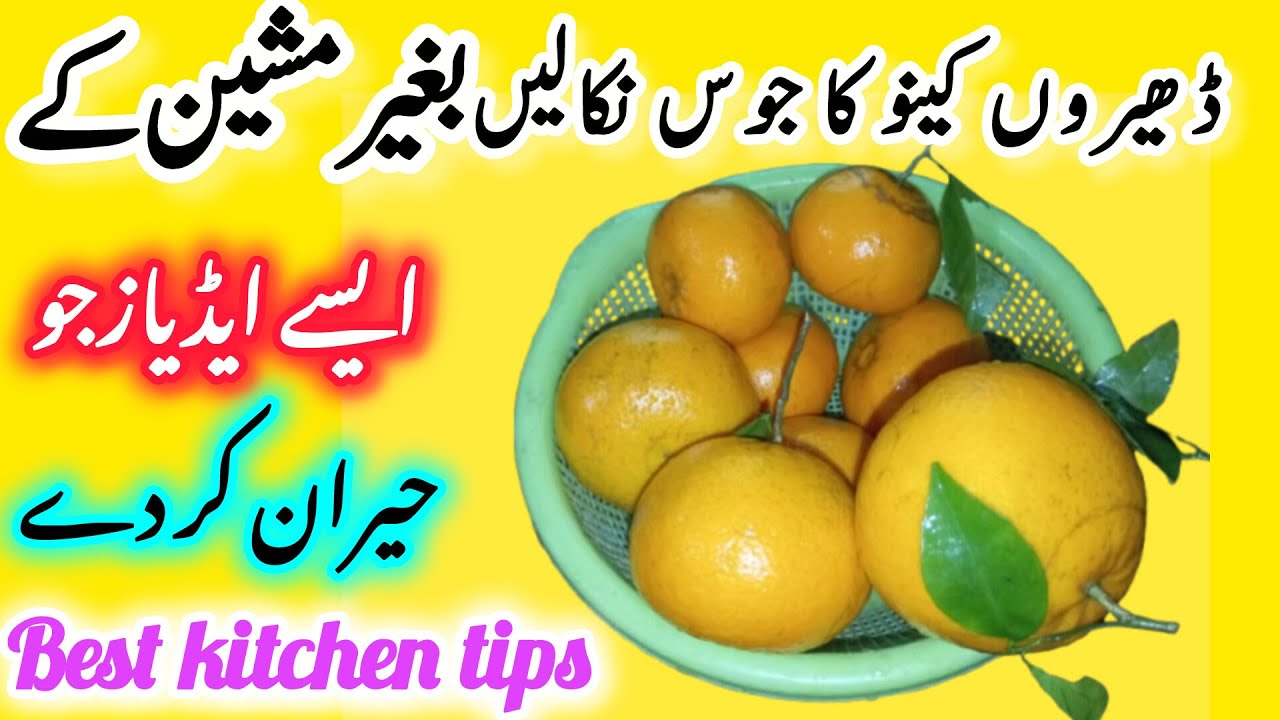 Easy home and kitchen Hacks 🔥 easy home and kitchen hacks|  tip tricks Idea organizer | useful tips