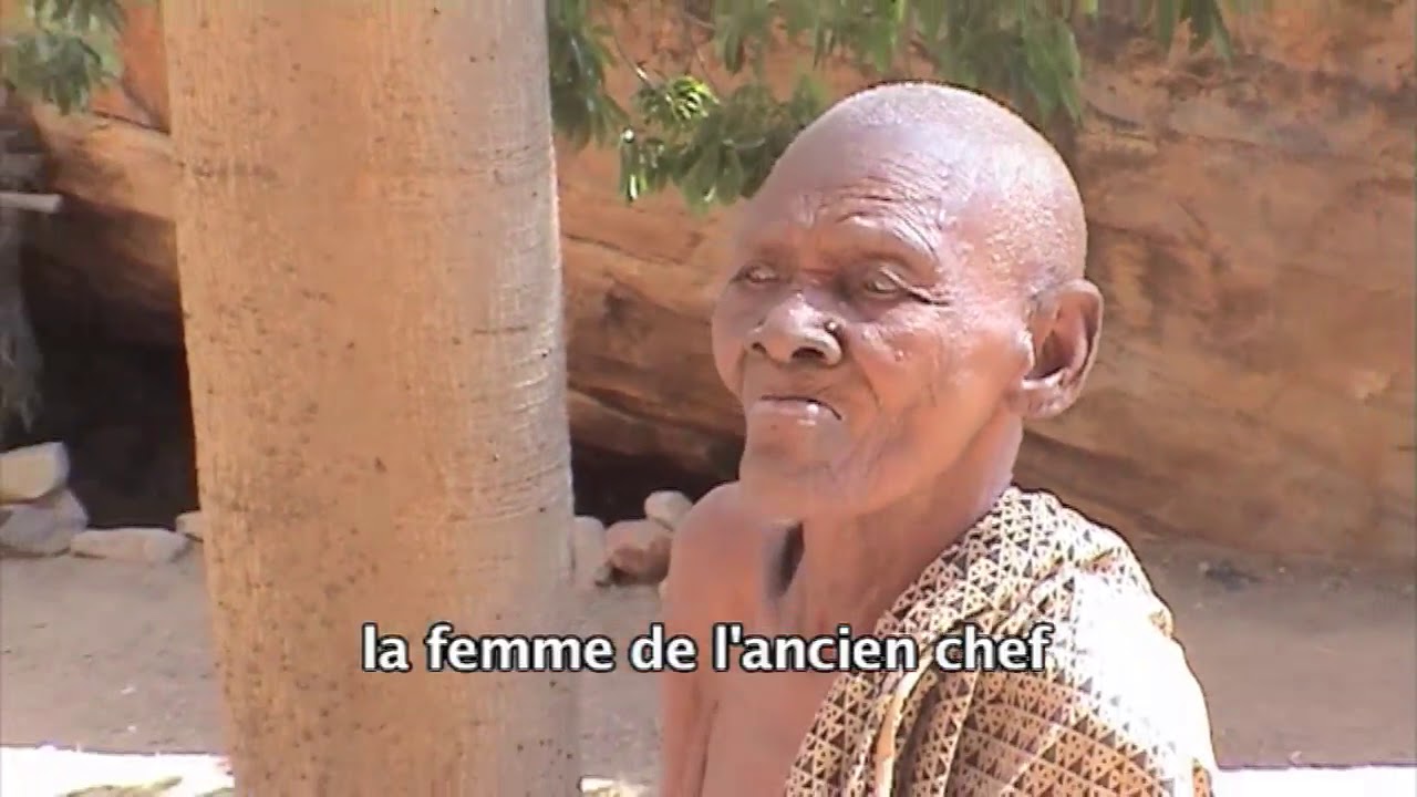 2008 Africa Dogon les Actions d'Africa