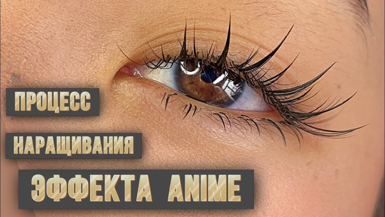 Процесс наращивания ресниц, эффект Anime 3д, схемы наращивания для лэшмейкера изгиб LJ LB LC