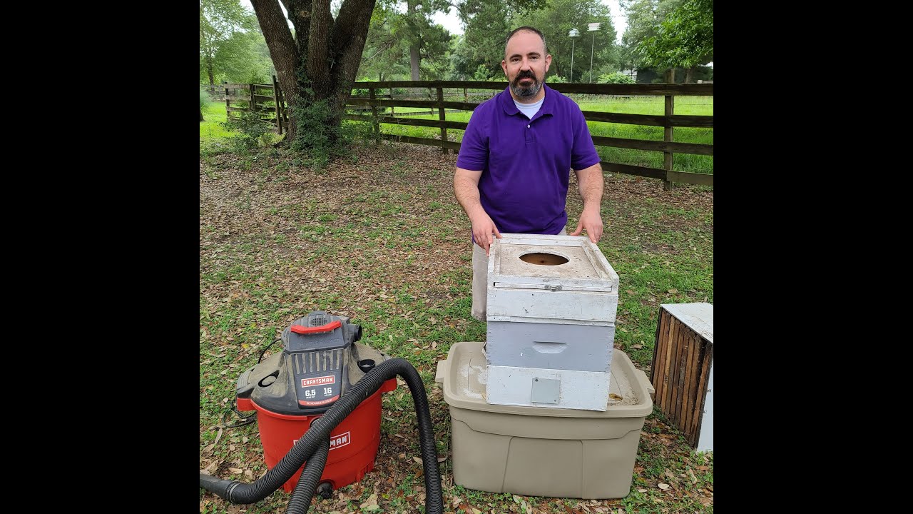 Make Your Own Bee Vacuum
