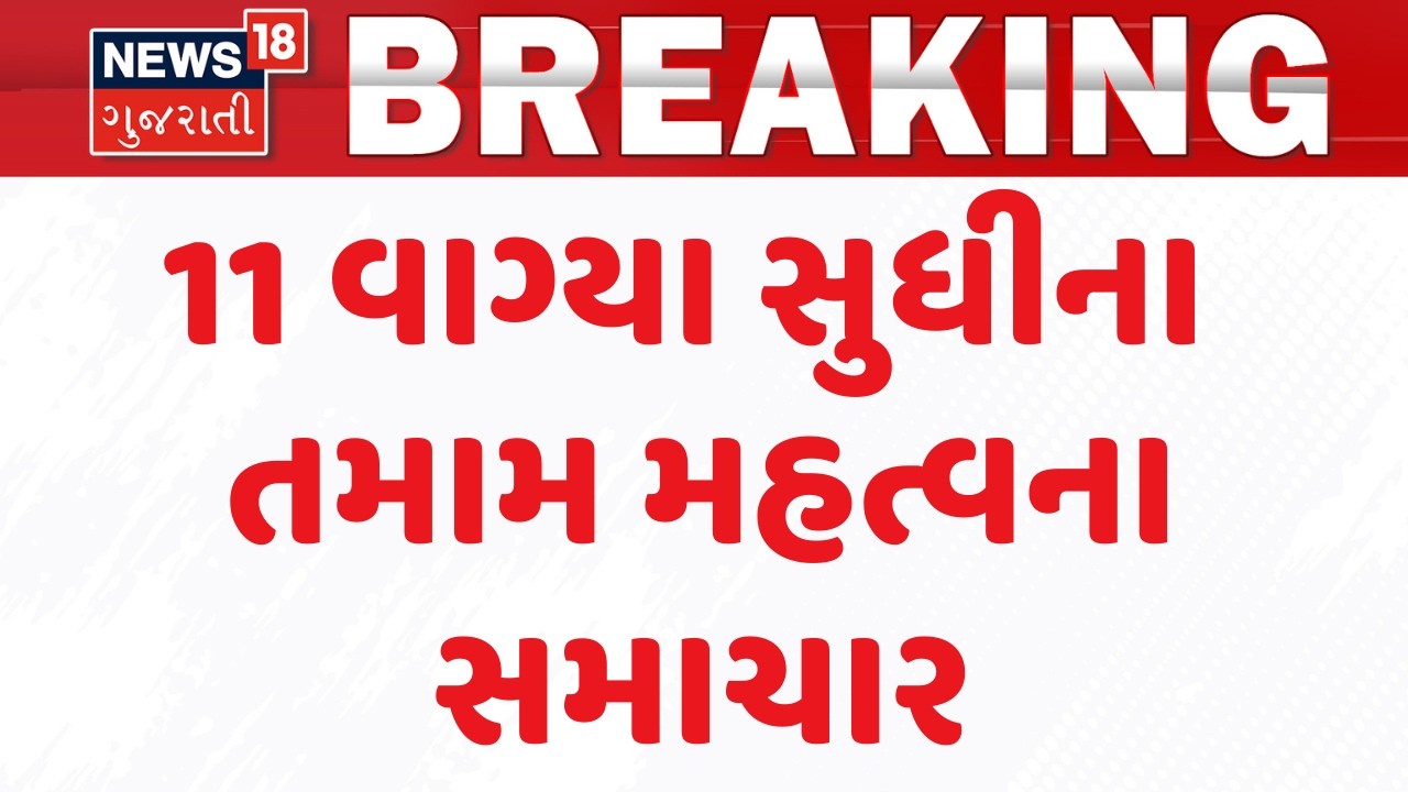 Gujarat Breaking News |  11 વાગ્યા સુધીના તમામ મહત્વના સમાચાર | Breaking News | News of The Day