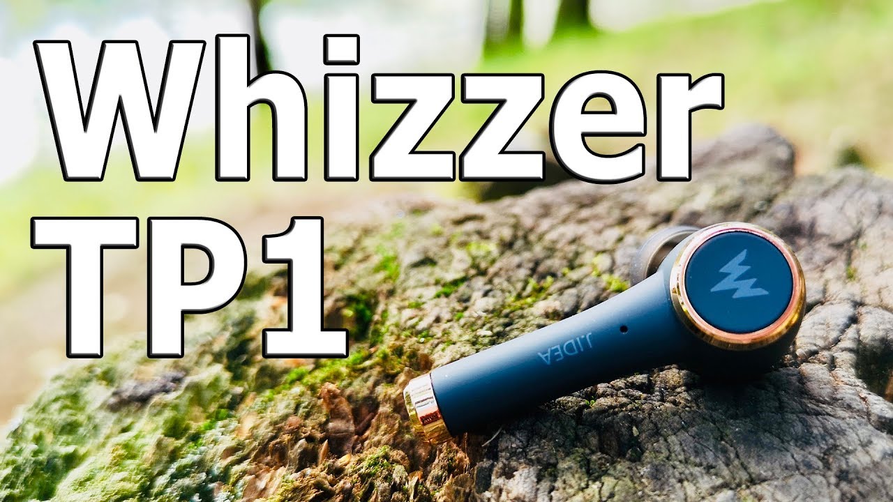 Блестящий - не значит пошлый I 10 фактов об ушах Whizzer TP1