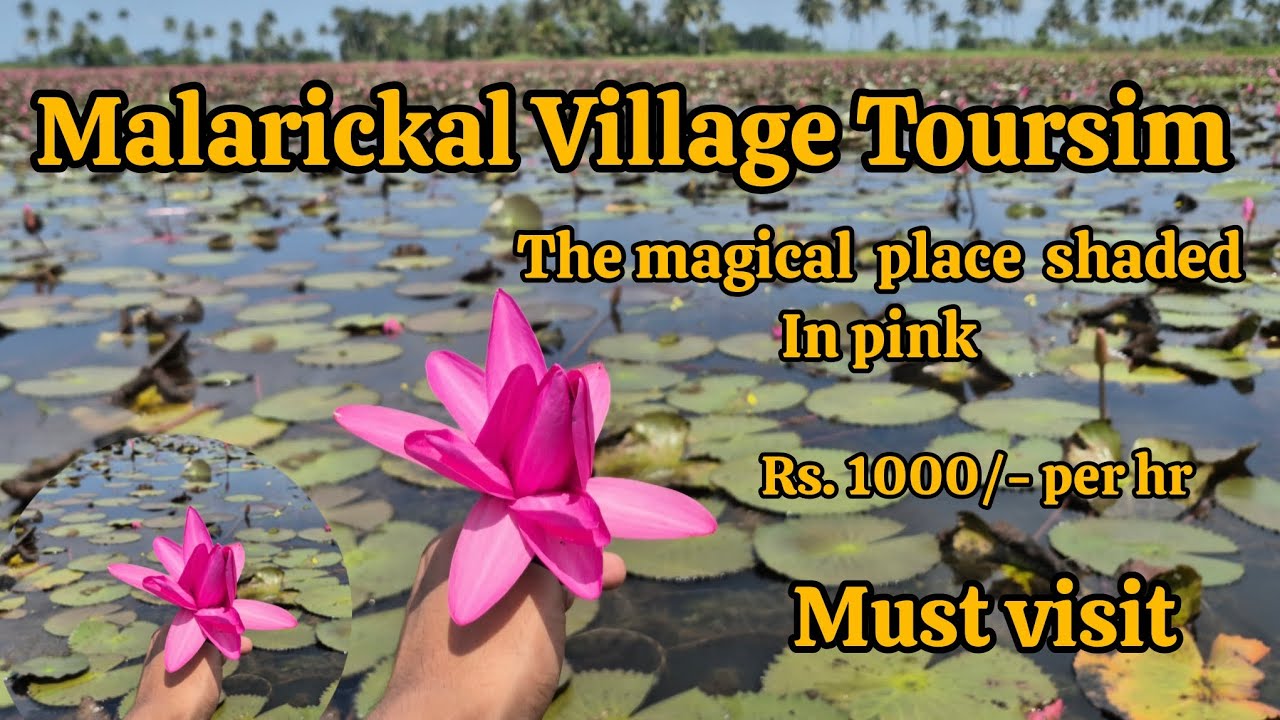 Malarickal Village Toursim..The  magical place shaded  in pink 💗 