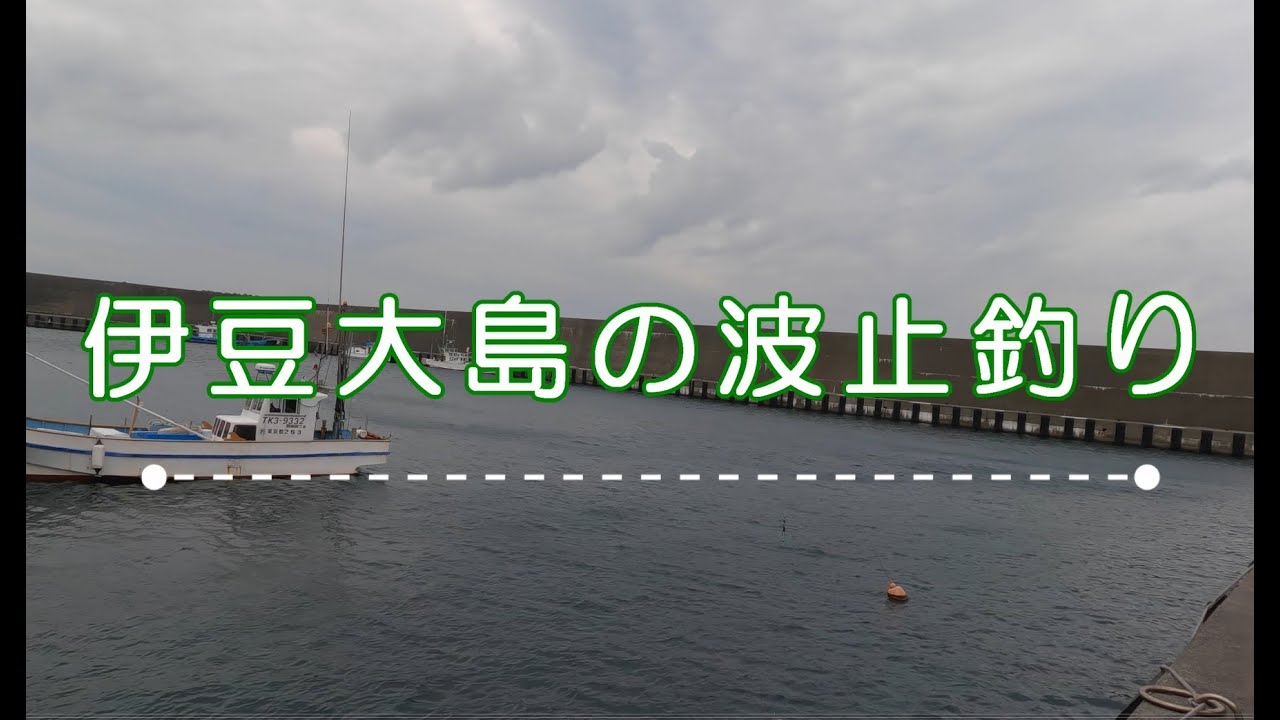 【大島】誰もいない漁港での釣り時間　”ここ本当に東京なのか？”