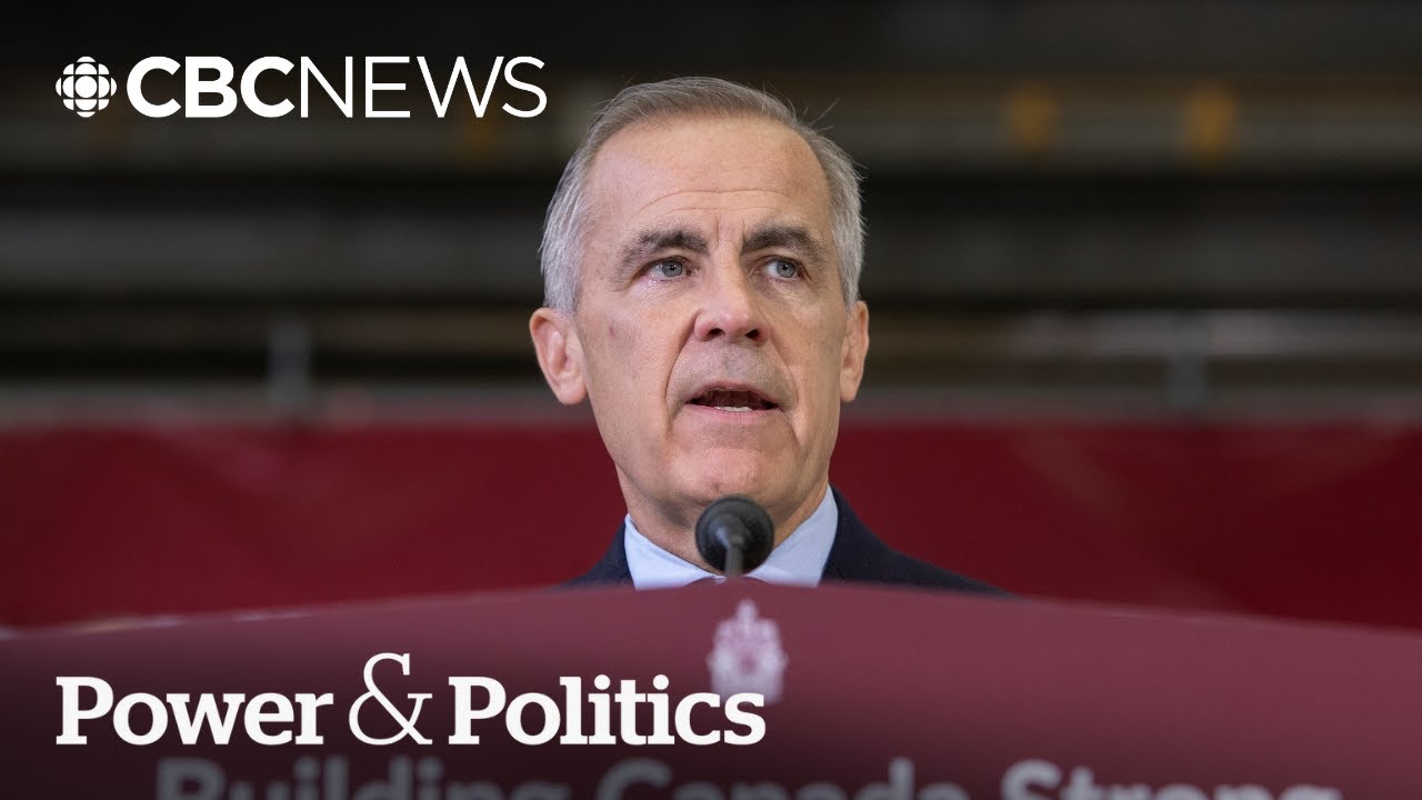 Major projects on Carney's list 'need a nudge' for completion: Liberal MP Hogan | Power & Politics