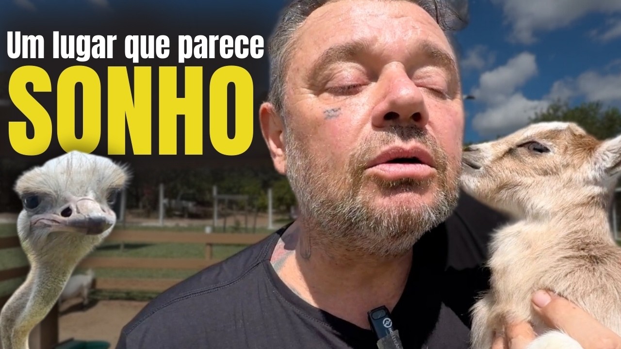 MINI BICHOS DE VERDADE! CABRA, PORCO, CAVALO… TUDO PEQUENININHO! 🐐🐖