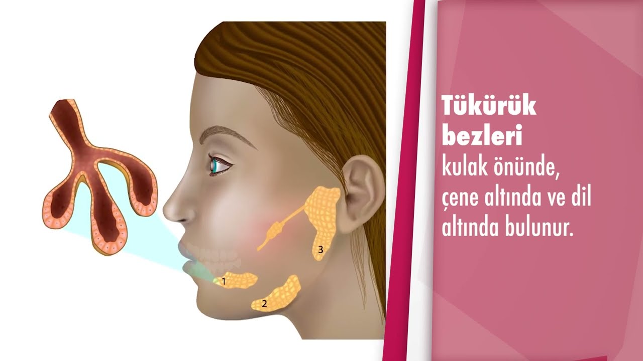 Tükürük bezi taşı nedir? Neden olur? Tedavisi nasıl yapılır? - Doç. Dr. Ela Araz Server (KBB)