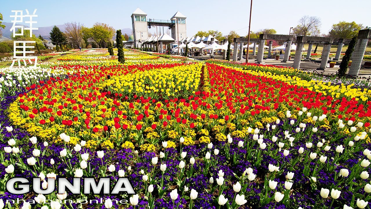 Gunma Flower Park at the Spring in Gunma - Japan walk video | #4k #flower #gunma  | Explore Japan