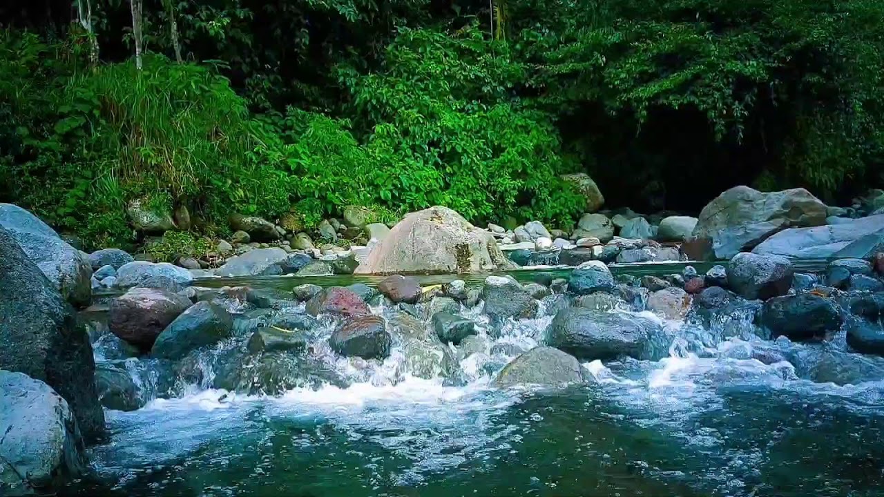🌊 Gentle River Soundscape ASMR for Deep Sleep, Relaxation & Stress Relief