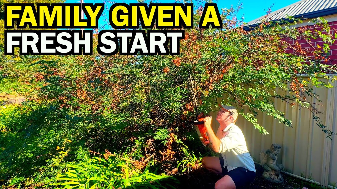 Watch This Yard Go From Messy To MAGNIFICENT! - I Gave Them A MASSIVE Surprise