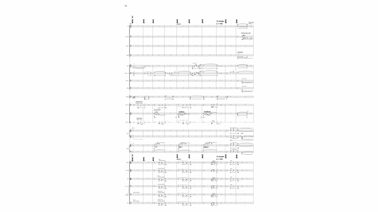 Vicente Olave - Destellos de un Paisaje Sonoro (with score)