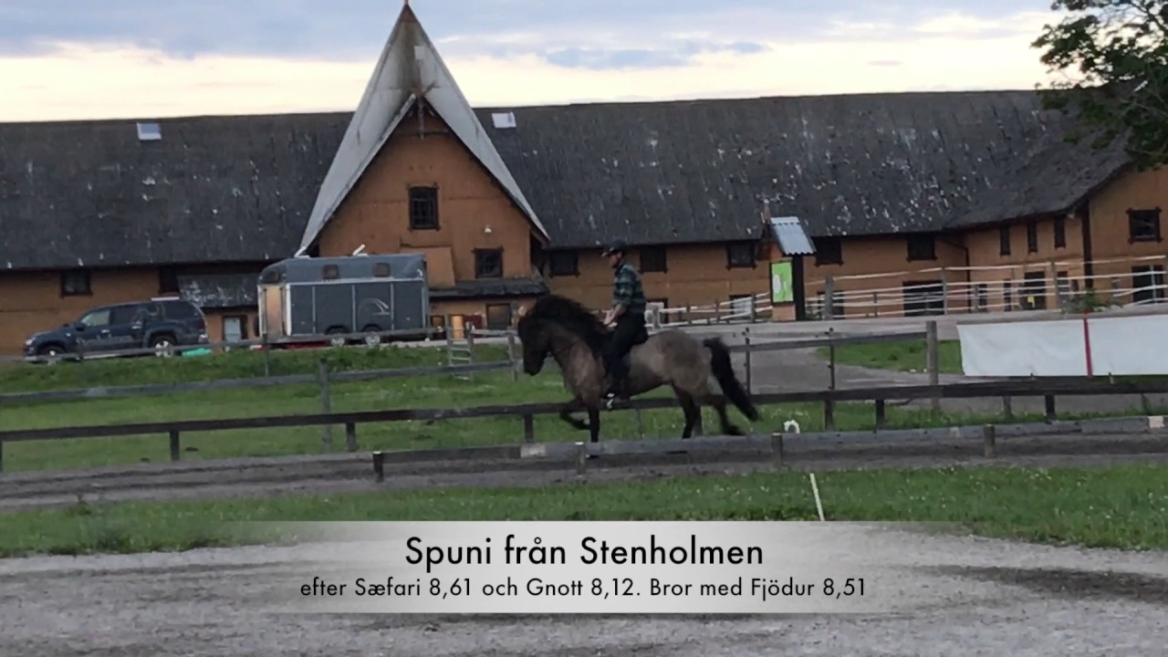Spuni från Stenholmen.
