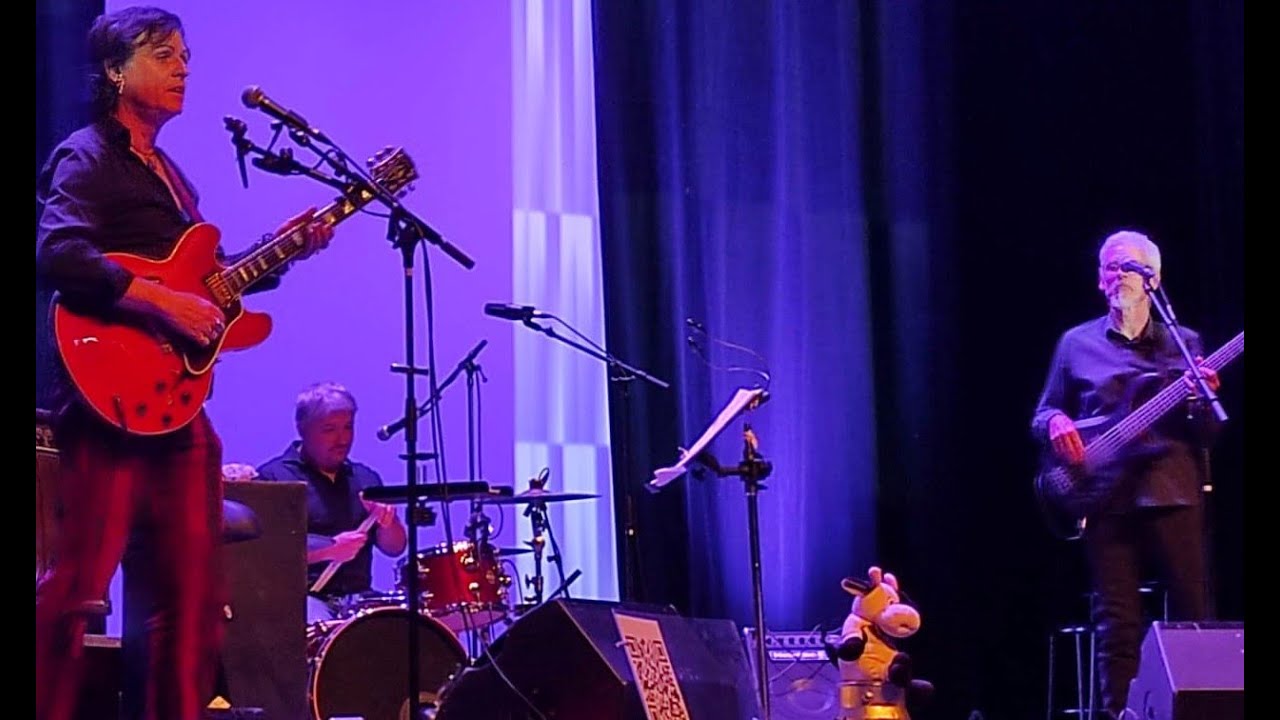#TheCowsBluesBand orchestre @coursdeguitare