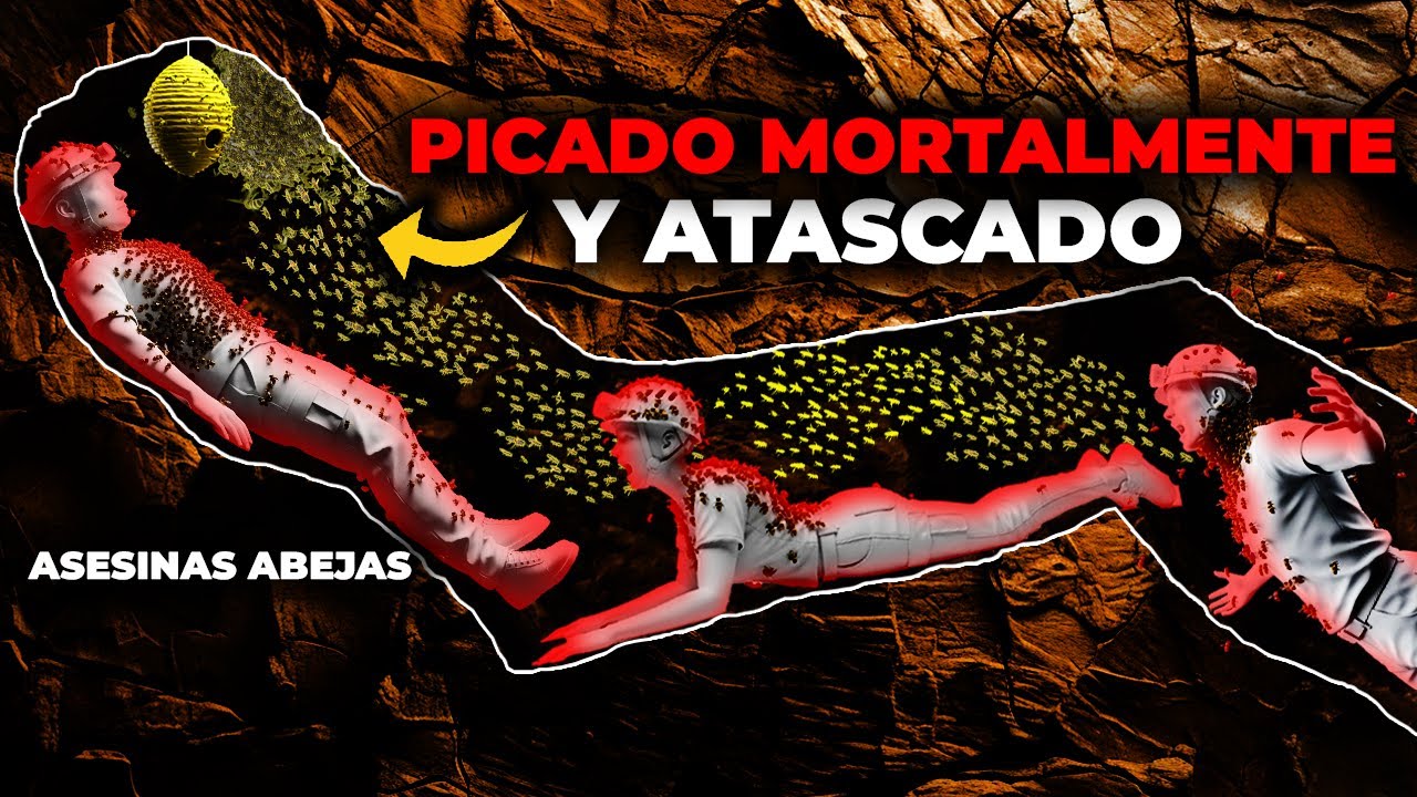 Estos Espeleólogos Quedaron Atrapados en una Película de Terror Real