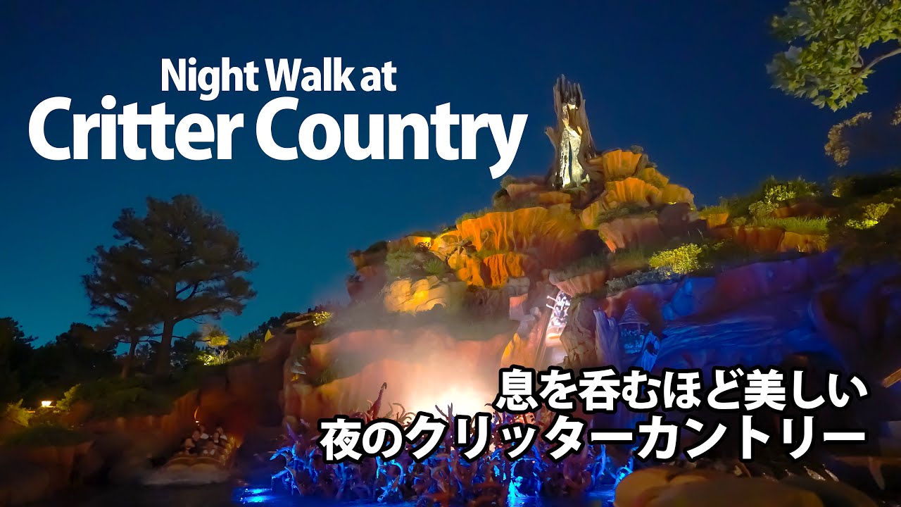 夜のクリッターカントリーの絶景散歩  /  東京ディズニーランド  :  Night Walk at Critter Country / Tokyo Disneyland