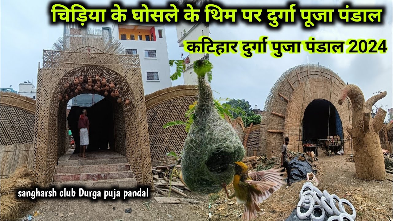 Katihar Top Durga Puja Pandal 2024 | चिड़िया के घोसले के तरह तैयार किया जा रहा है दुर्गा पूजा पंडाल