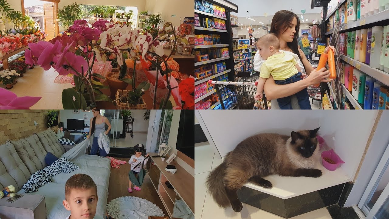 ARRUMEI A CASA ANTES DE SAIR + MERCADO + FLORICULTURA