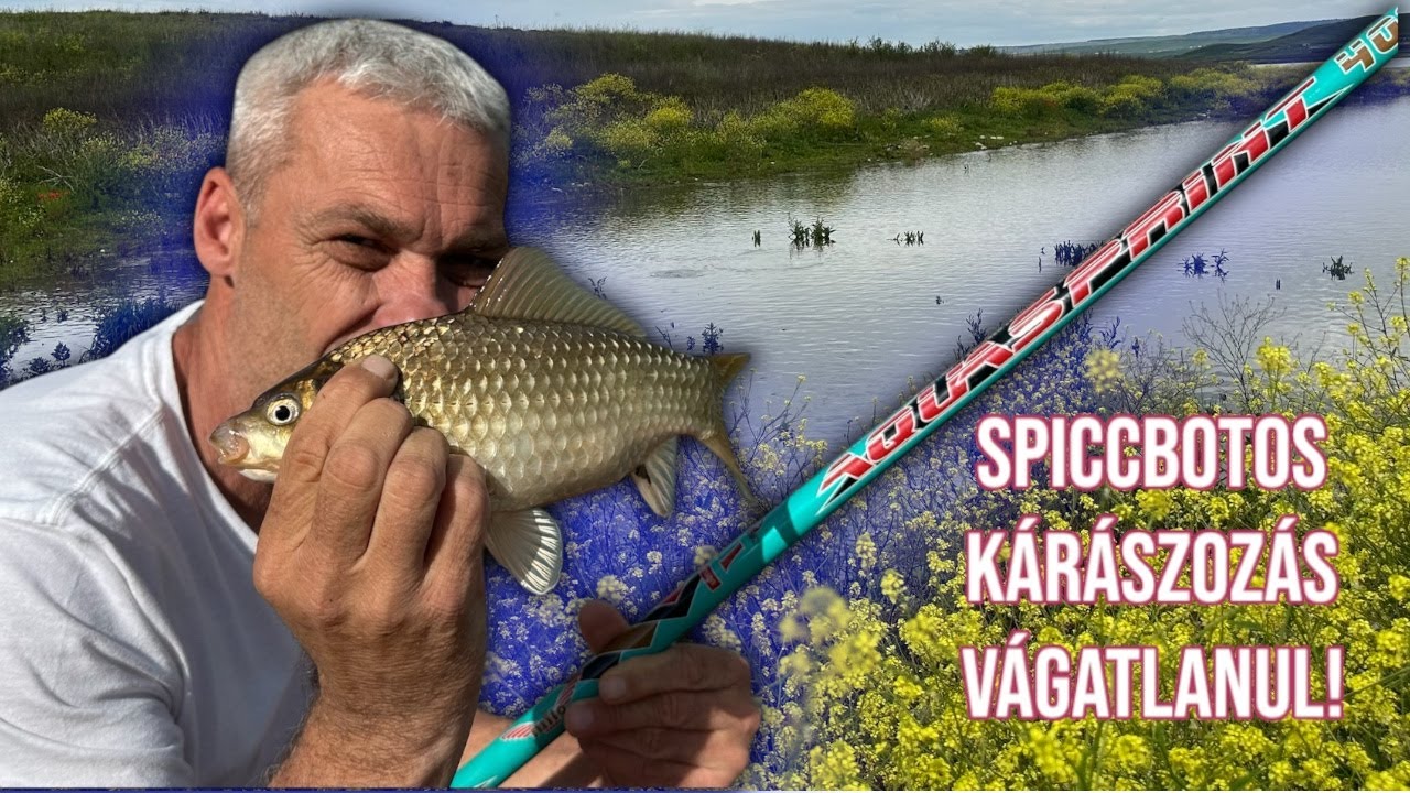 SPICCBOTOS KÁRÁSZOZÁS VÁGATLANUL