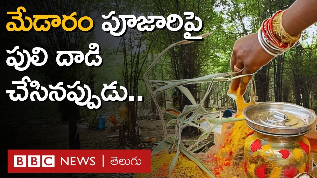 Medaram Jathara: మేడారం గద్దెల దగ్గర పూజారిపై పులి దాడి చేసినప్పుడు ఏమైంది? | BBC Telugu