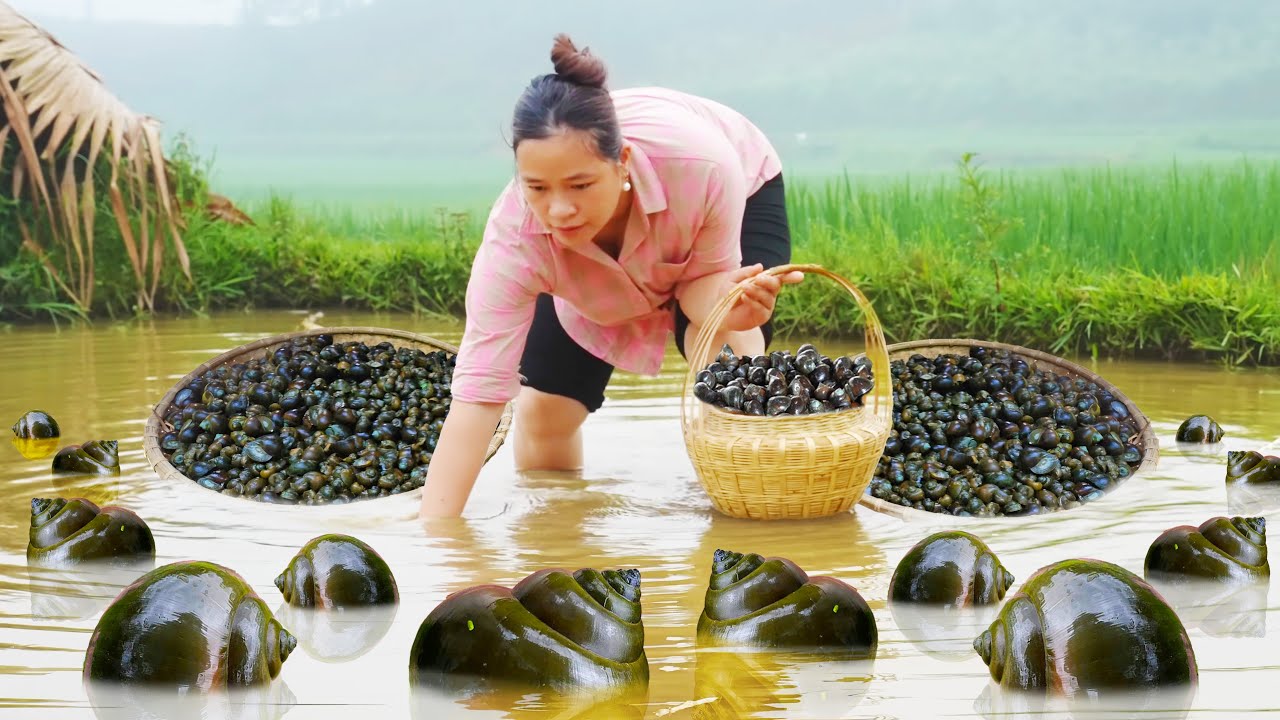 How to Harvest Giant Snails to sell at the market, Cook delicious snail dish | LTC - Free Bushcraft