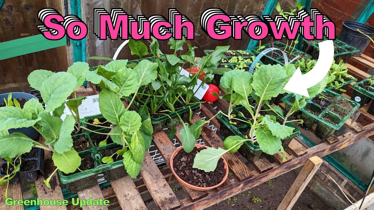 Greenhouse Garden Tour Update
