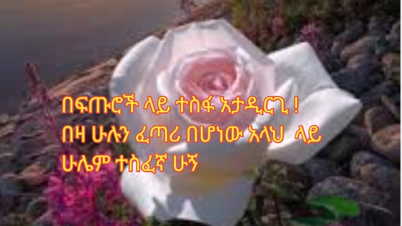 #በፍጡሮች ተስፋ አታዲርጊ#በዛ ሁሉን ፈጣሪ በሆነው{ አላህ} ላይ ሁሌም ተስፈኛ ሁኝ🌸