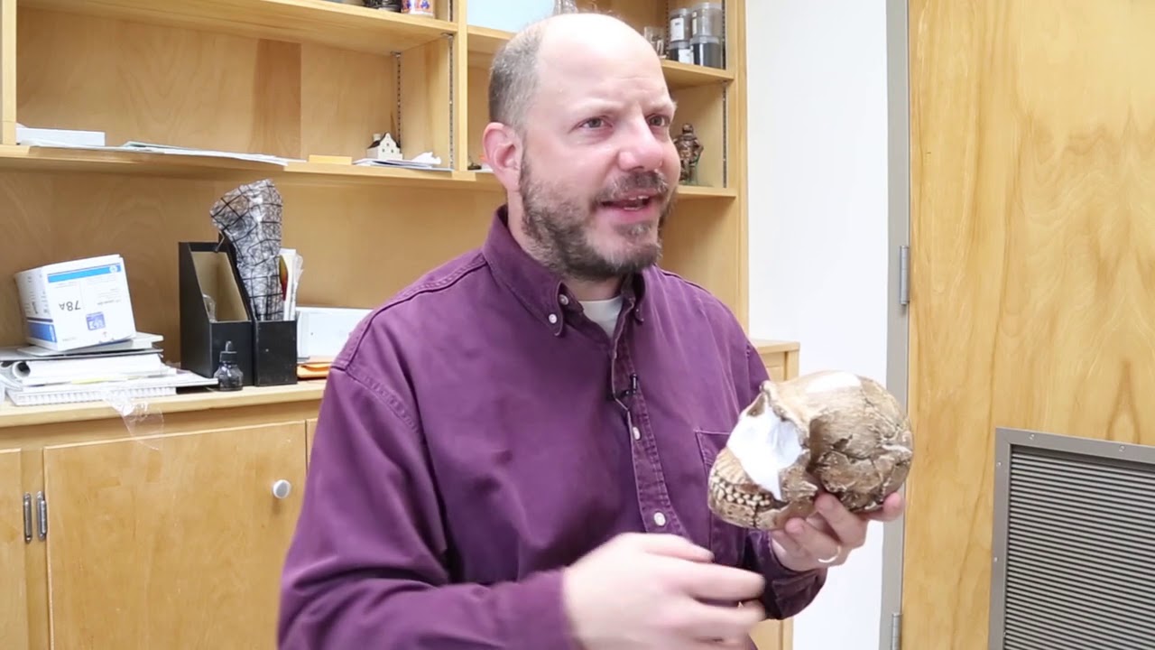 Blue Sky Science: How do we identify new species from fossils?