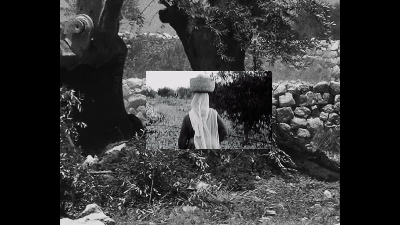 Snakeskin - Olive Groves [Official video]