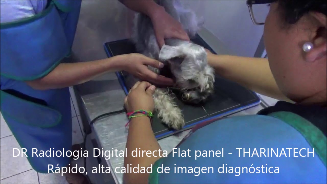 DIGITALIZADOR DR FLAT PANEL THARINATECH