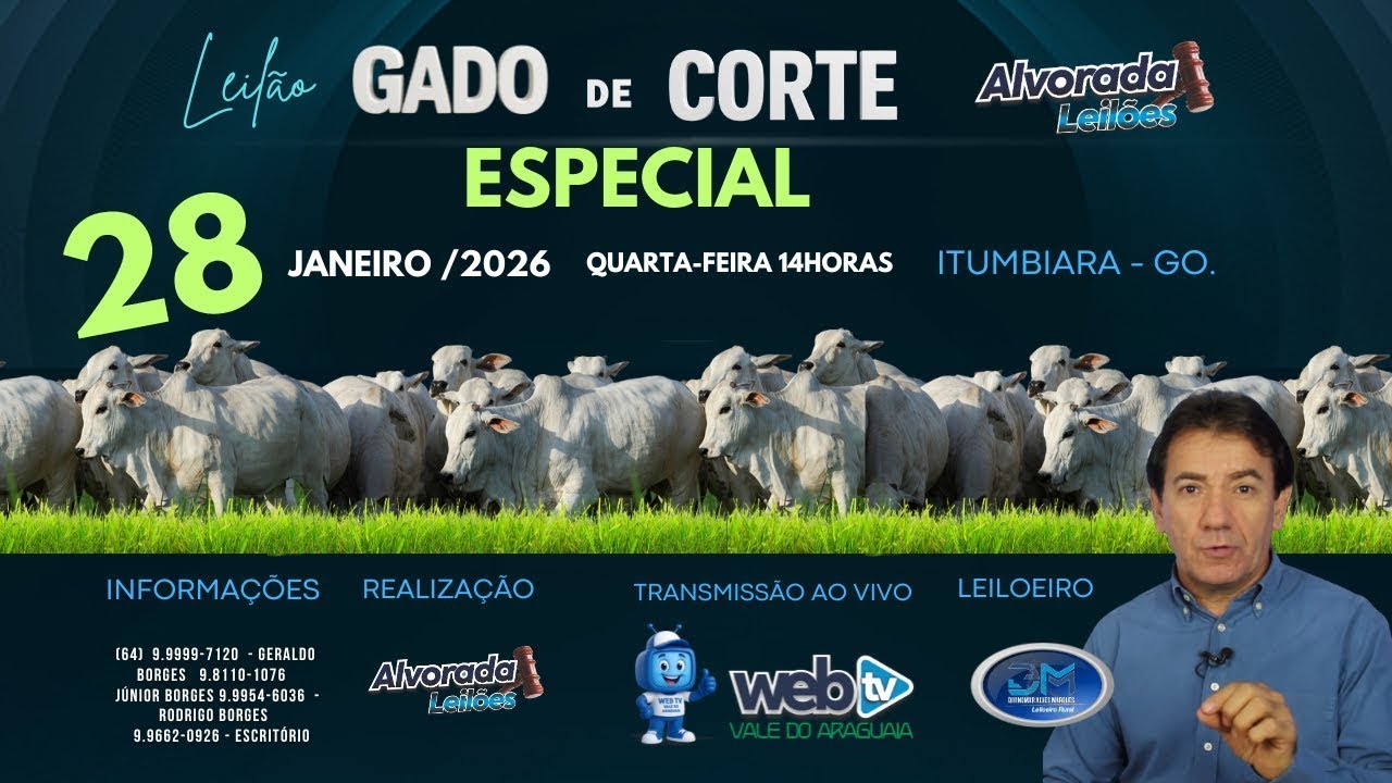 LEILÃO ESPECIAL ALVORADA LEILÕES PRIMEIRO DO ANO 2026 28/JANEIRO/2026 QUARTA-FEIRA 14h ITUMBIARA GO