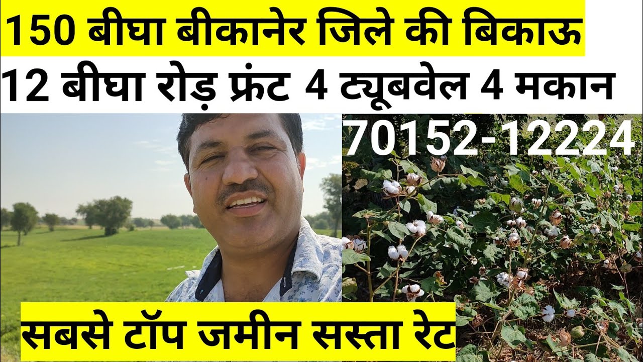 बीकानेर की 150 बीघा जमीन बिकाऊ 4 ट्यूबवेल 4 मकान। Bikaner ki jameen bikau| bikau jameen bikaner