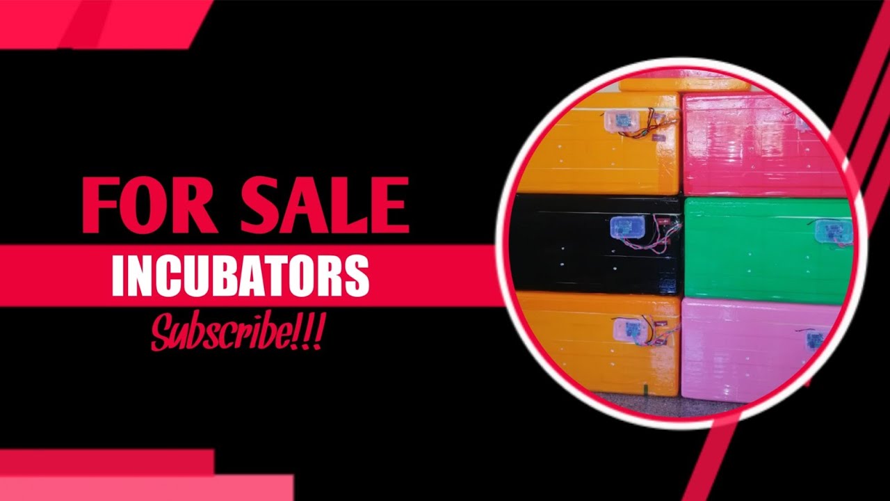 INCUBATOR FOR SALE
