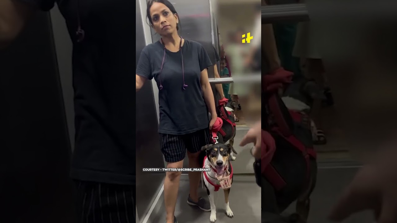 Viral: Tense Confrontation in Noida Society: Woman, Couple Clash over Pet Dog