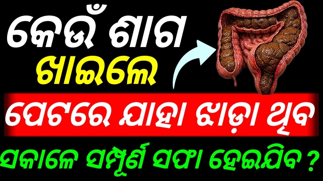 General Knowledge Odia | Gk Question | Odia Gk Question And Answers |  Gk In Odia | Odia Gk Quiz |