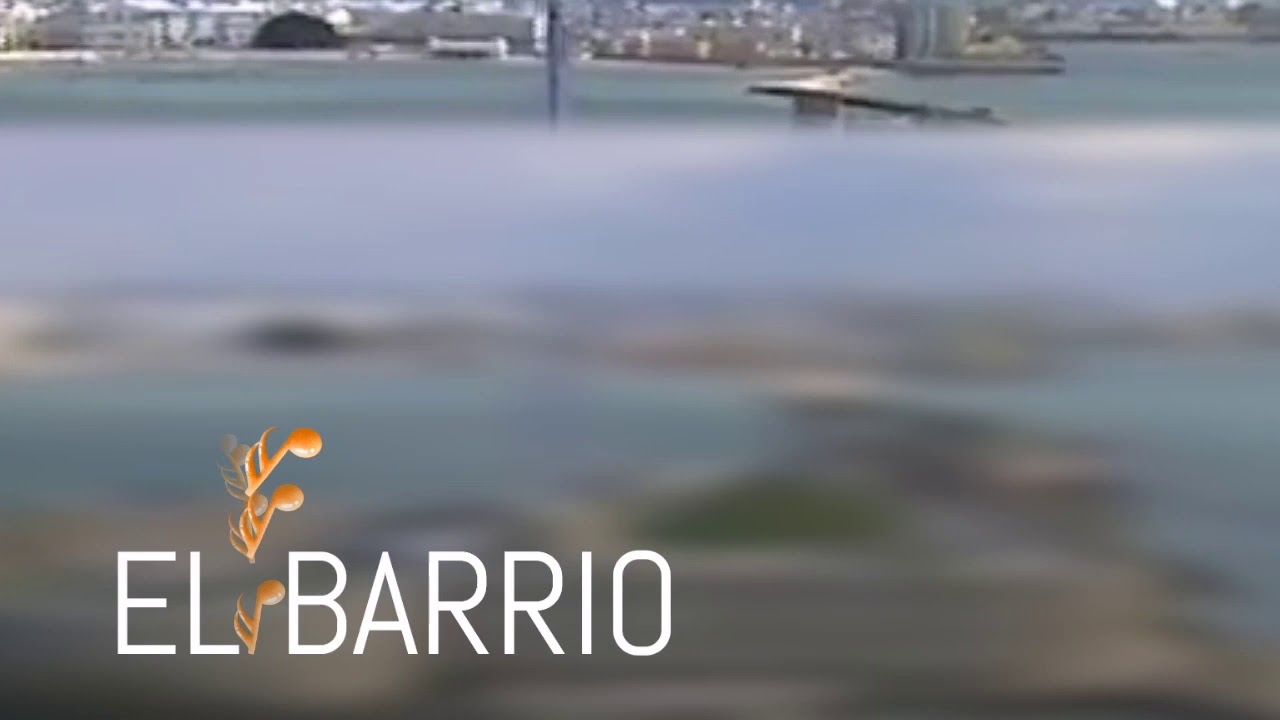 El Barrio... Cádiz