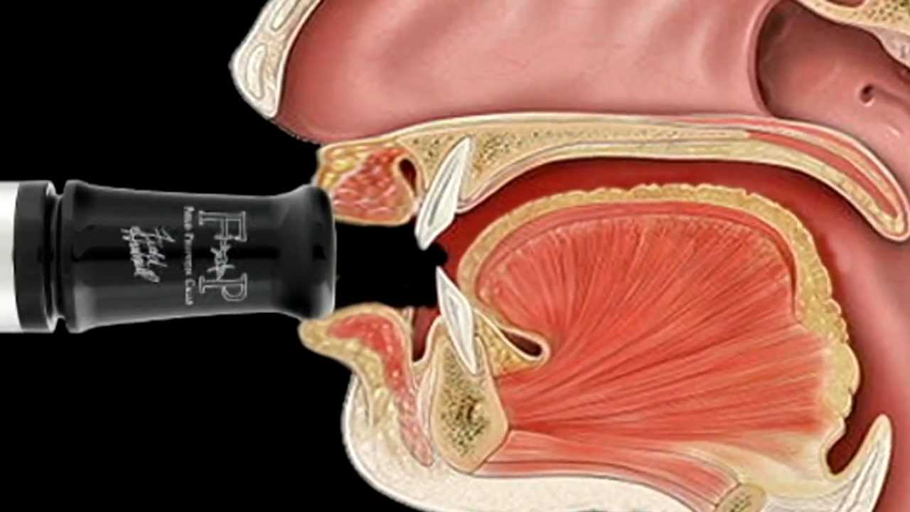 Mastering the Goose Call Step 9 