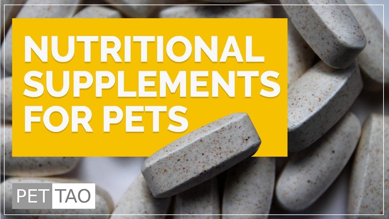 PET | TAO Supplements Overview - Combining Eastern & Western Medicine