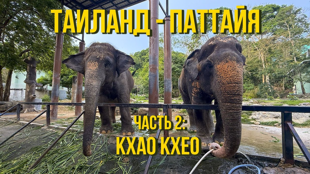 ТАИЛАНД - ПАТТАЙЯ - 2025 | Самостоятельное путешествие | Часть 2 | Кхао Кхео