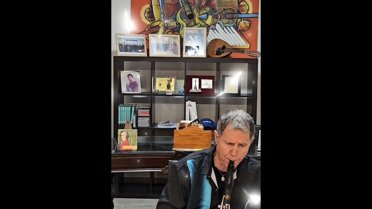 G.Donizetti - Andante sostenuto - Clarinetto Fernando D'Ambrosio e Base Orchestrale 
