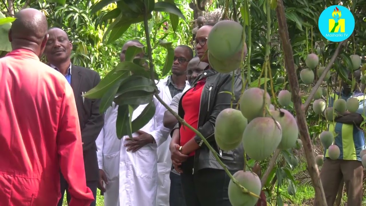 Mu Burundi uburimyi bw'ivyamwa burashobora kuzanira abarimyi n'igihugu amahera meshi mvamahanga.